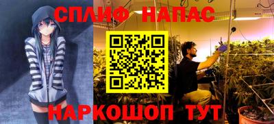 прущие крисы Кимры