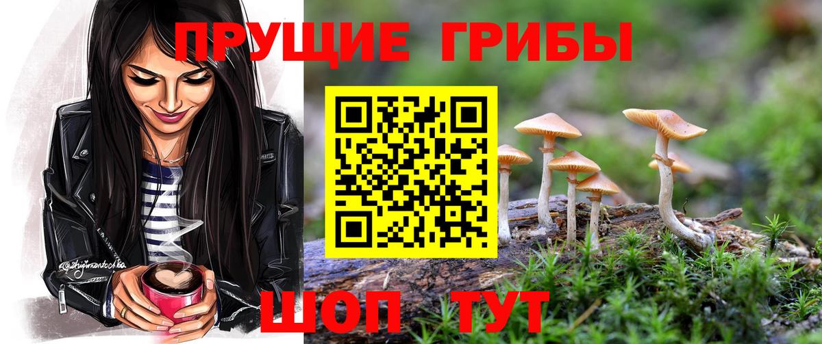 ГАШ Краснознаменск