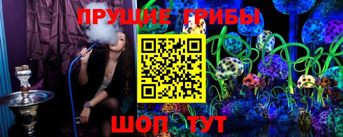 Псилоцибиновые грибы Cubensis Краснознаменск